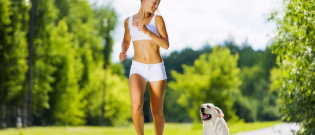 Illustration : "L’assurance sport canin"