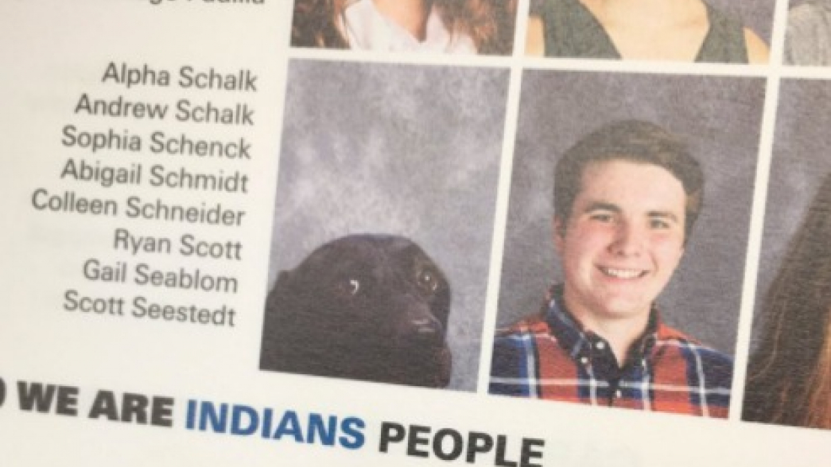 Illustration : "Alpha le chien d'assistance d'un lycéen diabétique a eu droit à sa photo dans le livre de fin d’année au lycée"