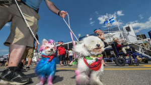 Illustration : Québec : Une croisière dédiée aux chiens et leurs maîtres, la "Croisière qui à du chien"