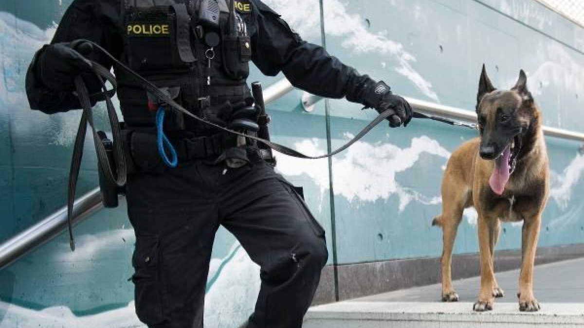 Illustration : "Suisse : Un conducteur en état d’ivresse arrêté grâce au chien de la police"