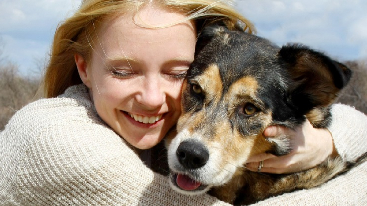 Illustration : "La garantie assistance chien"