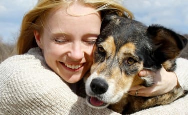 Illustration : "La garantie assistance chien"