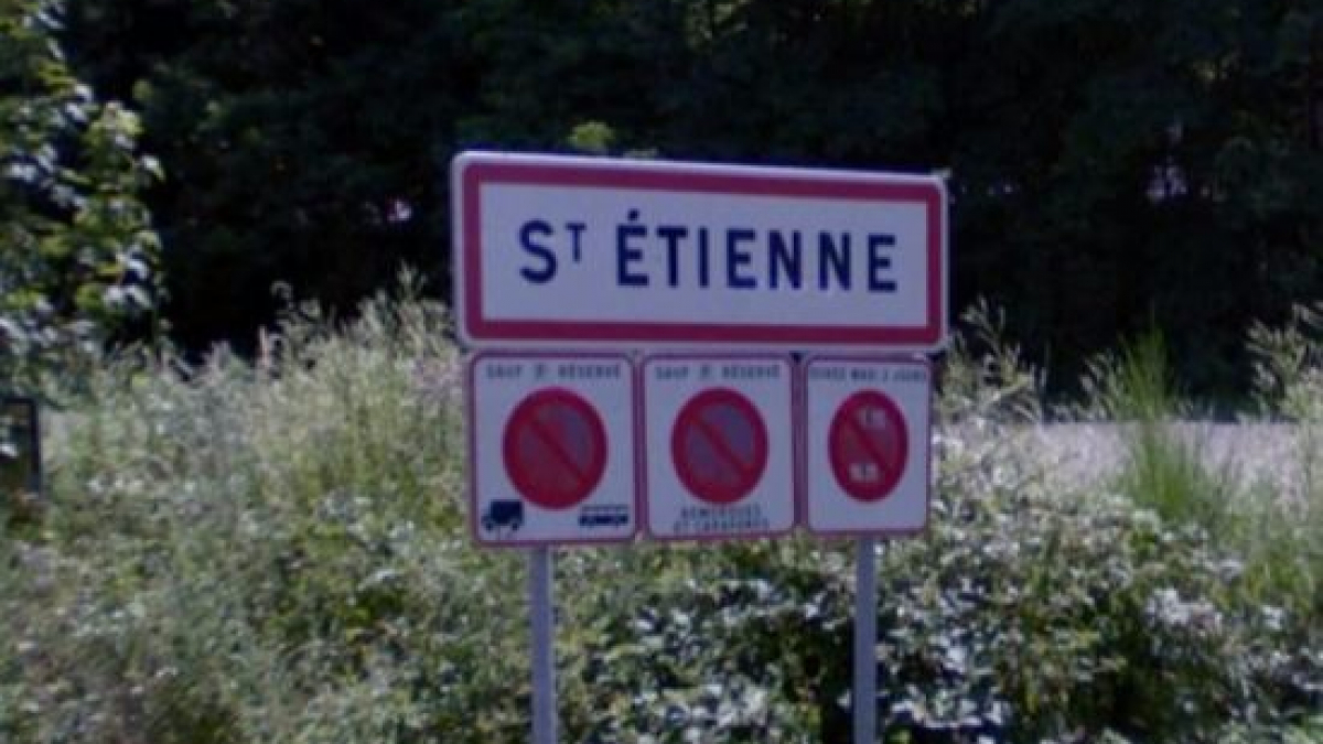 Illustration : "Saint-Etienne : Un automobiliste abandonne son chien sur la route, un membre du voisinage réagit"