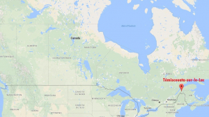 Illustration : Canada : Une fillette mordue au bras par un chien
