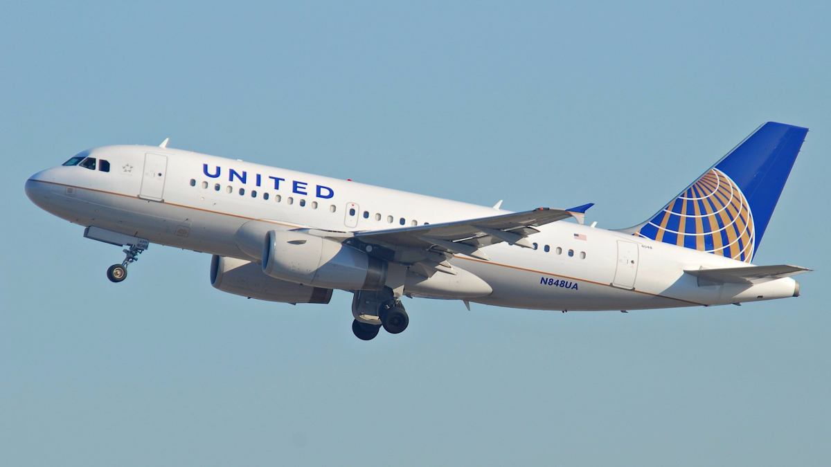 Illustration : "United Airlines présente ses excuses après la mort d’un chien lors de l’un de ses vols"