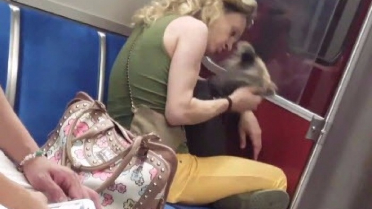 Illustration : "La femme qui violentait son chien dans le métro de Toronto sera jugée en octobre"