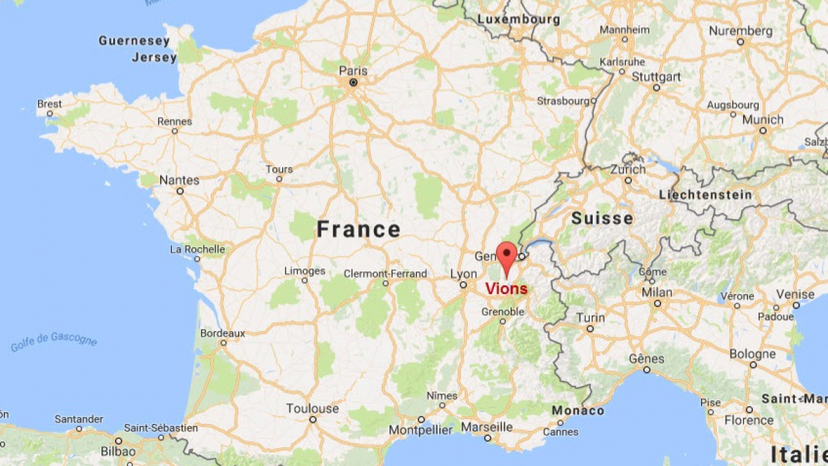 Illustration : "Vions (73) : 2 chiots découverts sur le bord du Rhône"