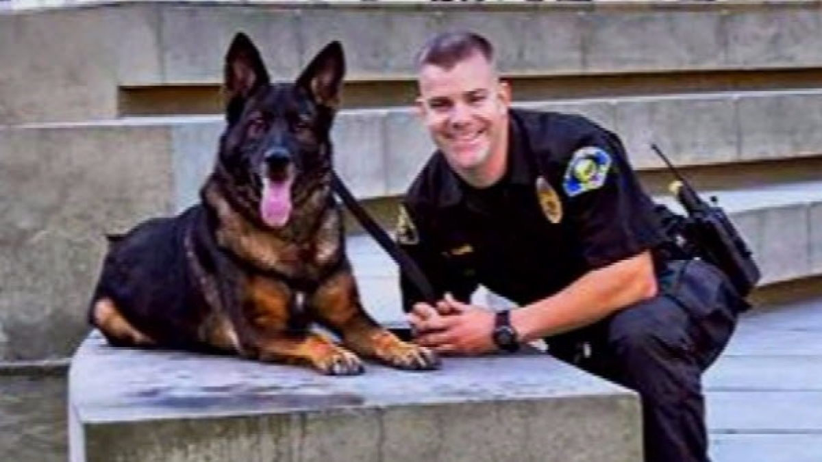 Illustration : "Un chien-policier blessé par balle et son maître enfin réunis"