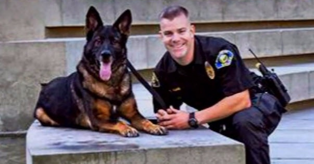 Un chienpolicier blessé par balle et son maître enfin réunis