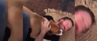 Illustration : "Les magnifiques retrouvailles entre l’acteur Chris Evans et son chien Dodger"