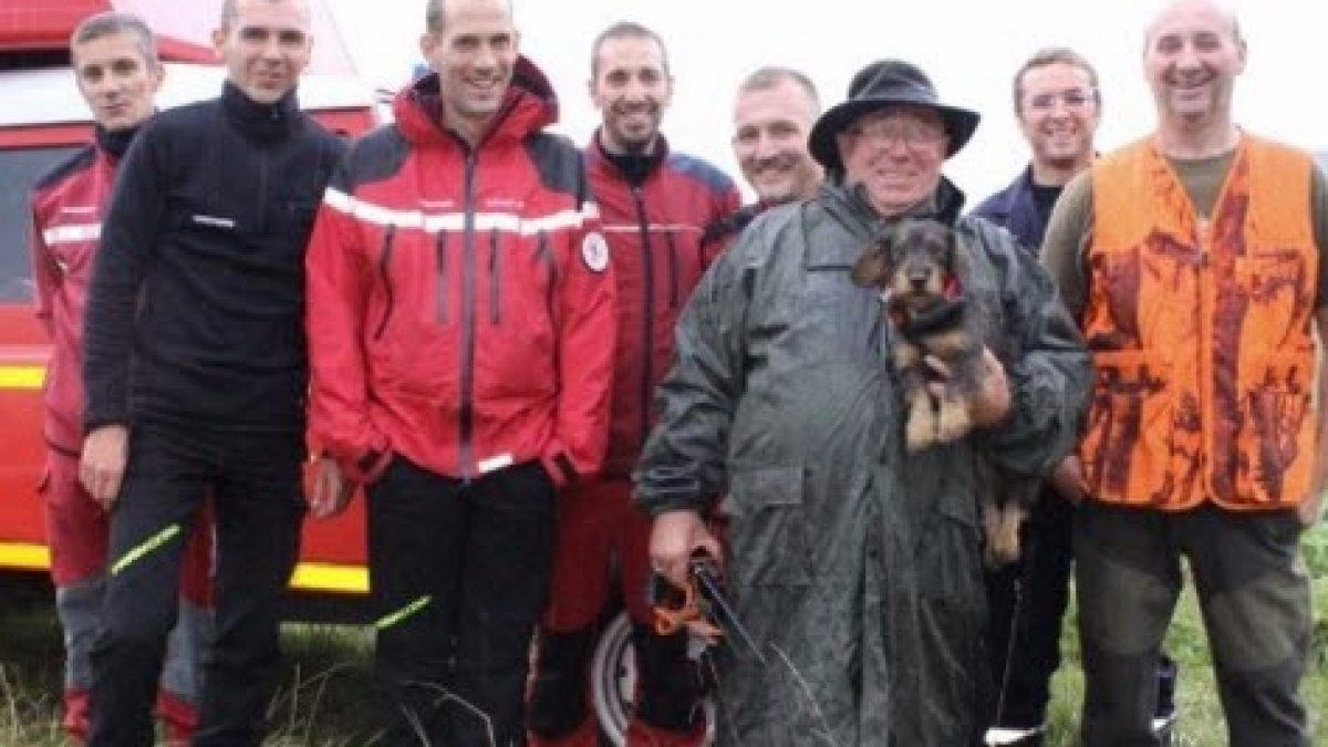 Illustration : "Doubs : Les pompiers sauvent une chienne de chasse tombée près d’une falaise"