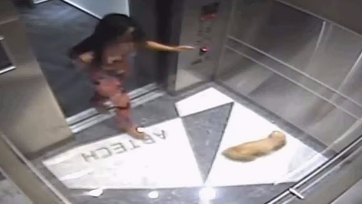 Illustration : "Etats-Unis : Une femme filmée en train de battre son chien dans un ascenseur"