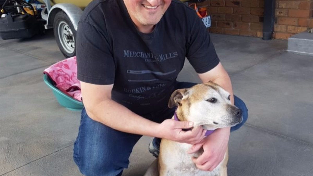 Illustration : "Australie : Un homme retrouve sa chienne 7 ans après sa disparition"