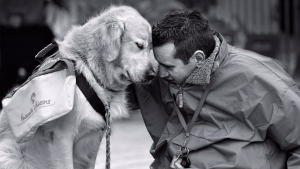 Illustration : 13 photos qui vous donneront envie d’adopter un chien