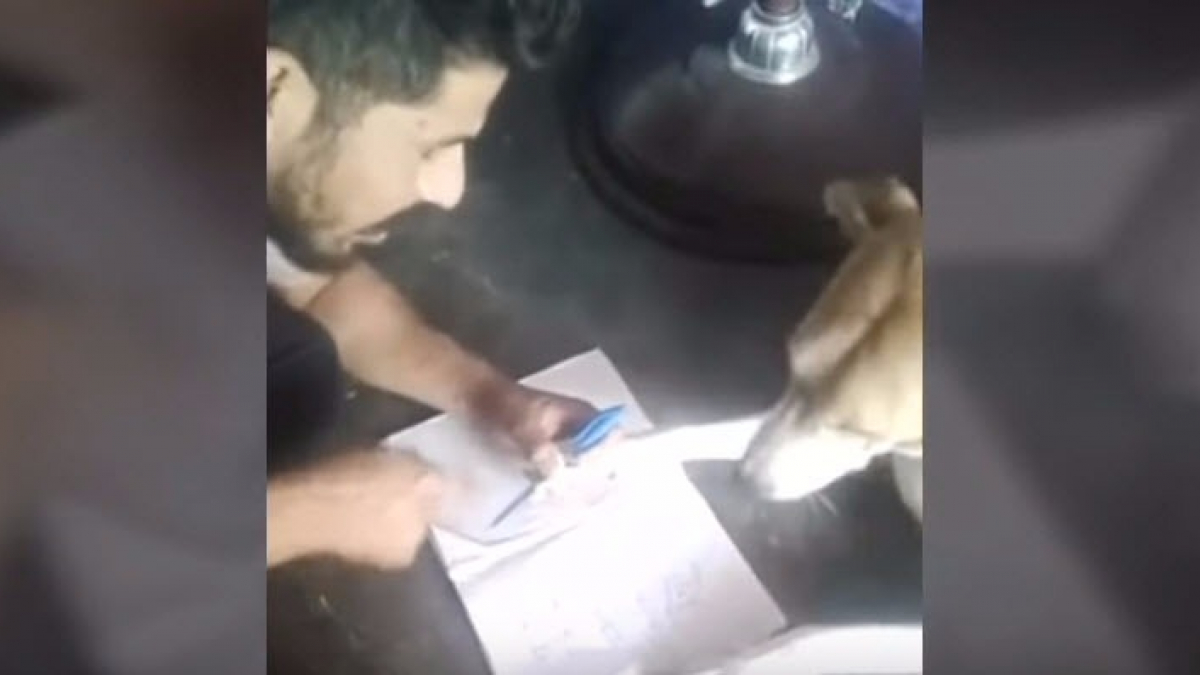 Illustration : "Un homme frappe son chien parce qu’il ne veut pas apprendre l’alphabet"