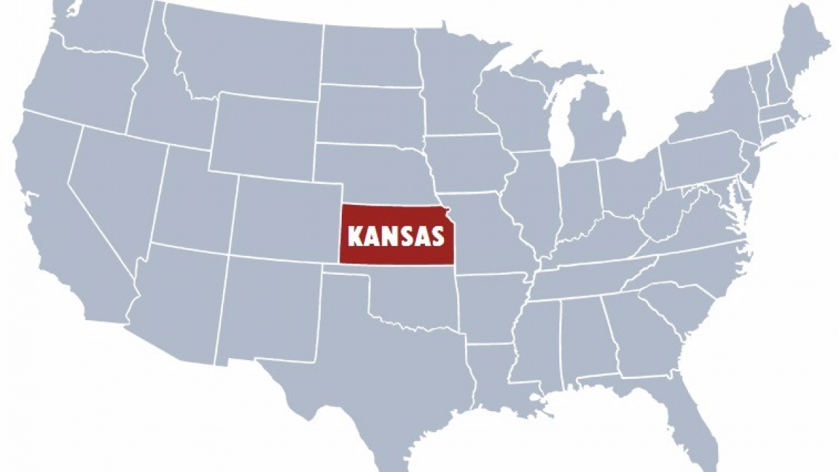 Illustration : "Etats-Unis : Un chien retrouvé 3 mois après avoir disparu dans le Kansas"