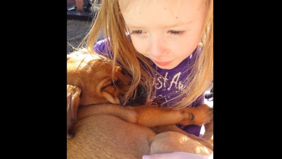 Illustration : "Une fillette chante une berceuse pour le chiot que sa famille vient d’adopter"
