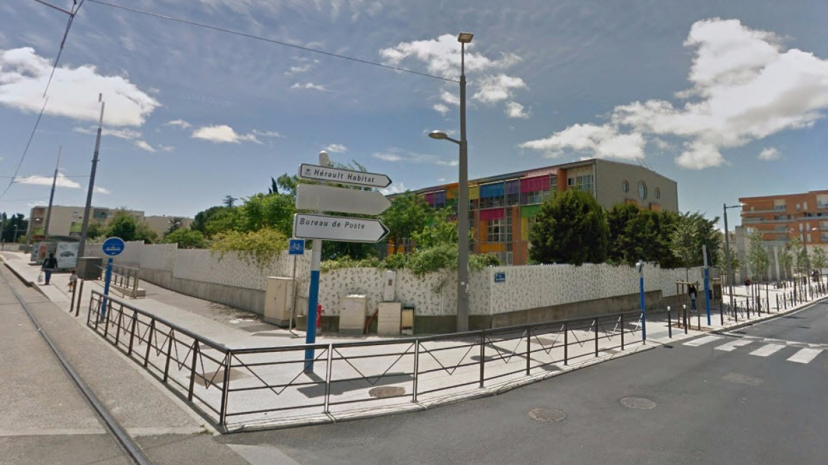 Illustration : "Montpellier : Un chien laissé en liberté mord une fillette près de son école"