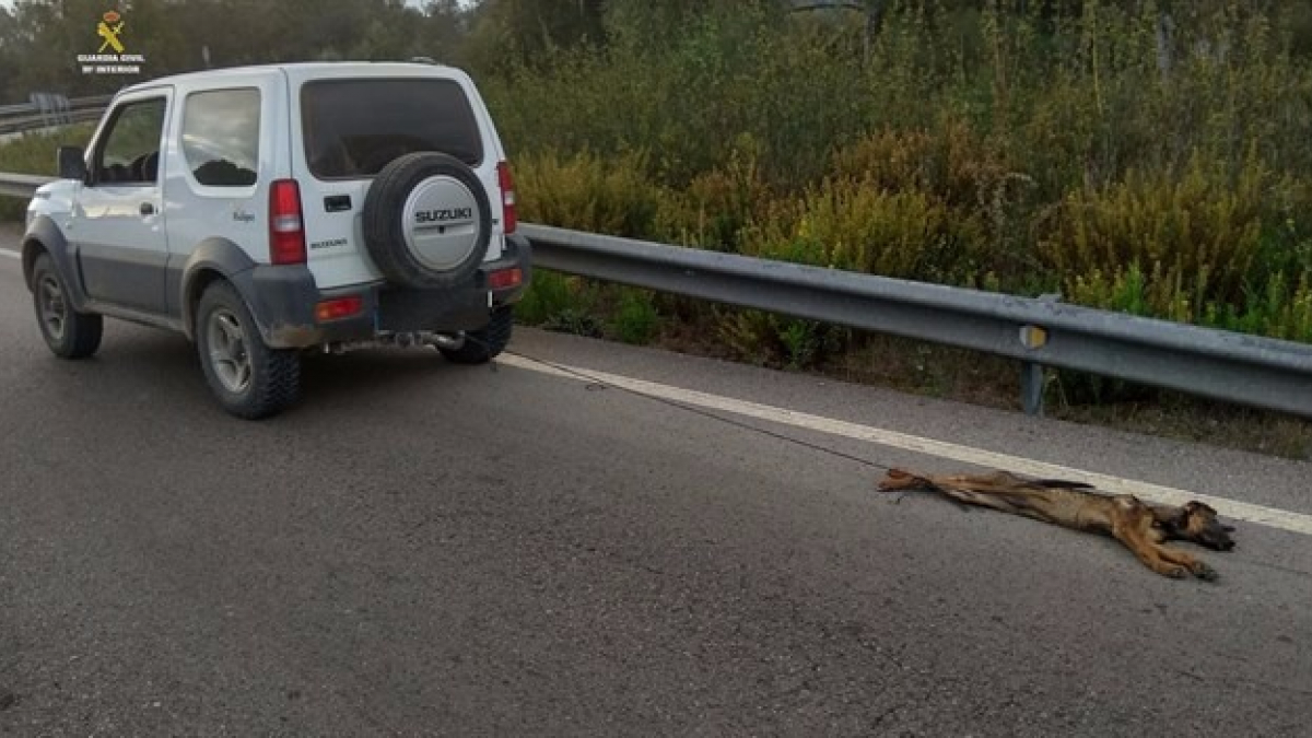 Illustration : "Espagne : Un conducteur arrêté après avoir traîné son chien sur plusieurs kilomètres"
