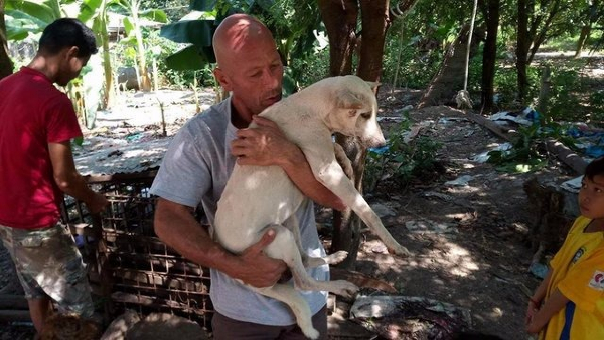 Illustration : "Cambodge : Un homme sauve un chien qui allait être abattu pour sa viande"