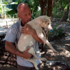 Illustration : Cambodge : Un homme sauve un chien qui allait être abattu pour sa viande