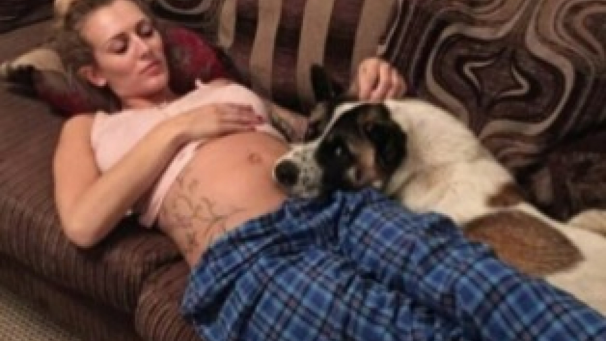 Illustration : "Par son comportement, cette chienne sauve sa maîtresse enceinte"