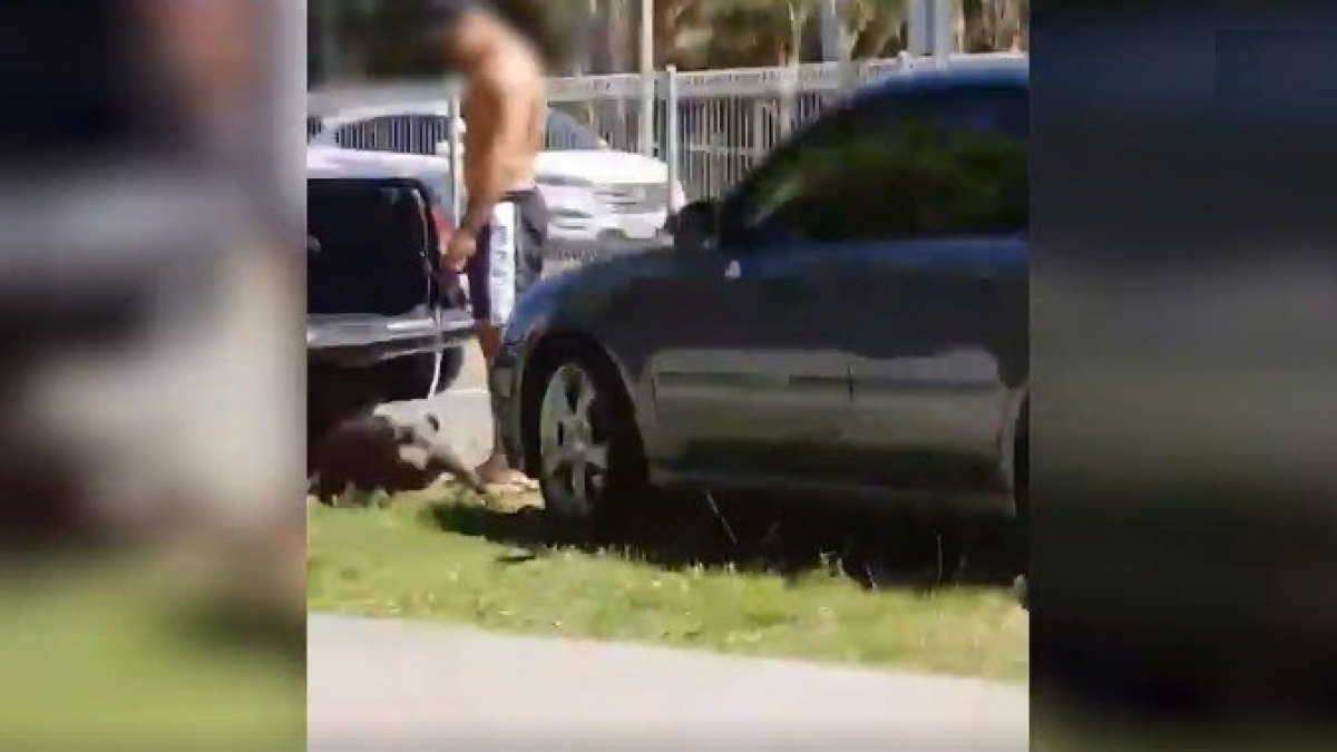 Illustration : "Australie : Un homme filmé pendant qu’il frappait son chien près de la plage"