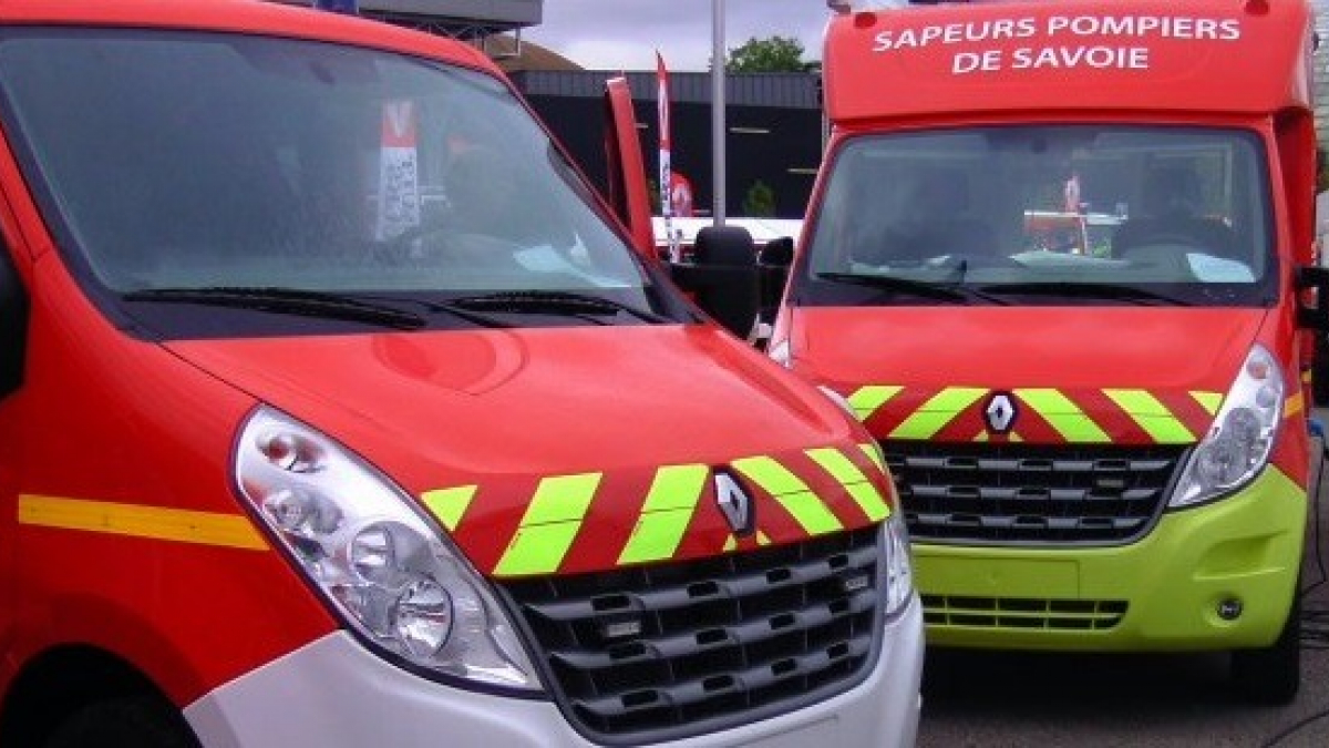 Illustration : "Un chien secouru par les pompiers lors d’un début d’incendie en Savoie"