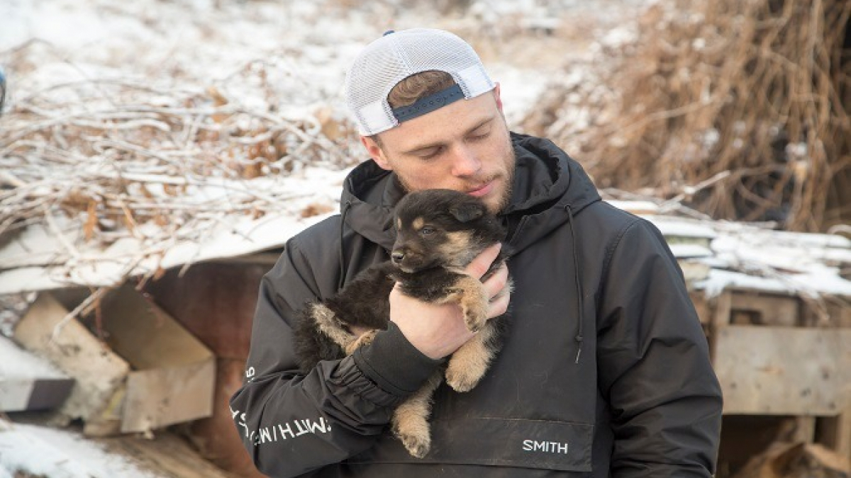 Illustration : "Un skieur américain adopte une chienne lors des JO d’hiver en Corée du Sud"