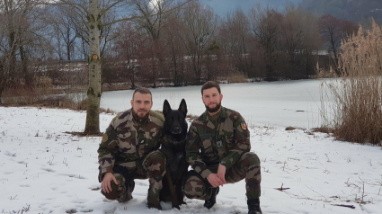 Illustration : Une dame atteinte d’Alzheimer tombée dans un ravin, sauvée grâce au chien des gendarmes