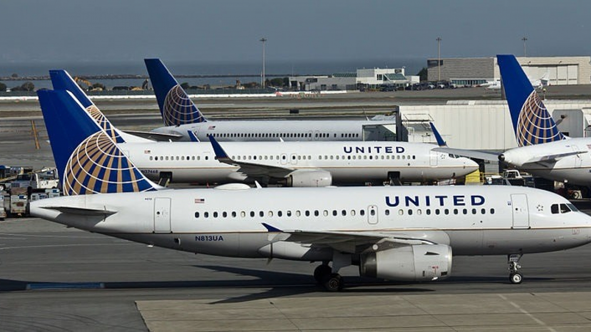 Illustration : "Un nouveau cas de décès de chien dans un avion d’United Airlines"