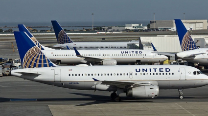 Illustration : Un nouveau cas de décès de chien dans un avion d’United Airlines