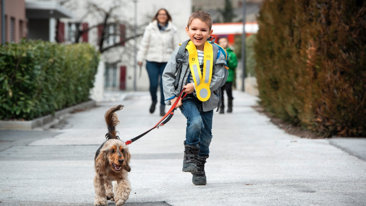 Illustration : "Ce chien aide un enfant diabétique à prévenir les crises d’hypoglycémie"