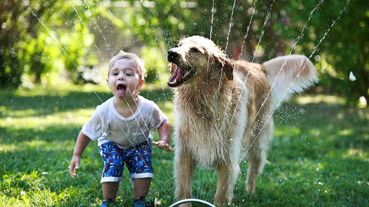 Illustration : "10 photos prouvant qu'avoir un chien est un bonheur pour les enfants"