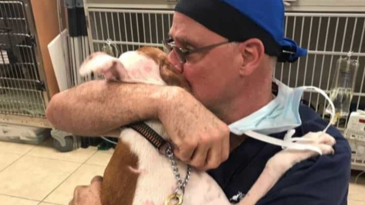 Illustration : "Les émouvantes retrouvailles entre un chien et le vétérinaire qui l'a sauvé (Vidéo)"