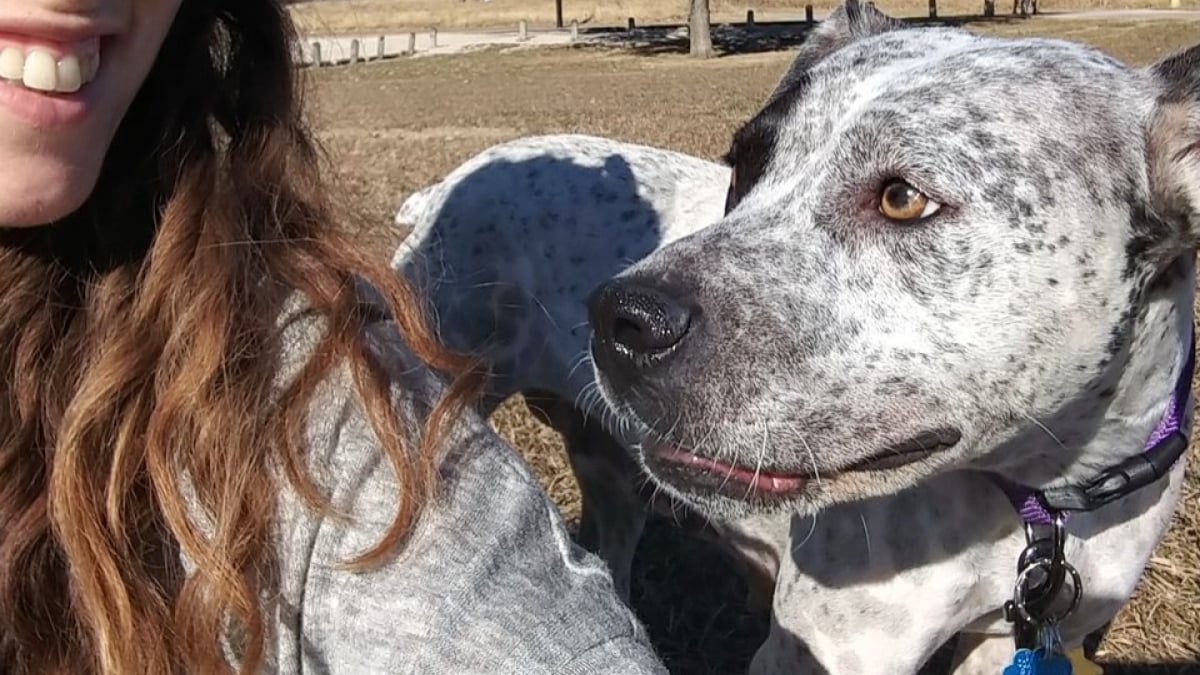 Illustration : "Cette femme a été forcée de choisir entre son chien ou son logement ! (Vidéo)"