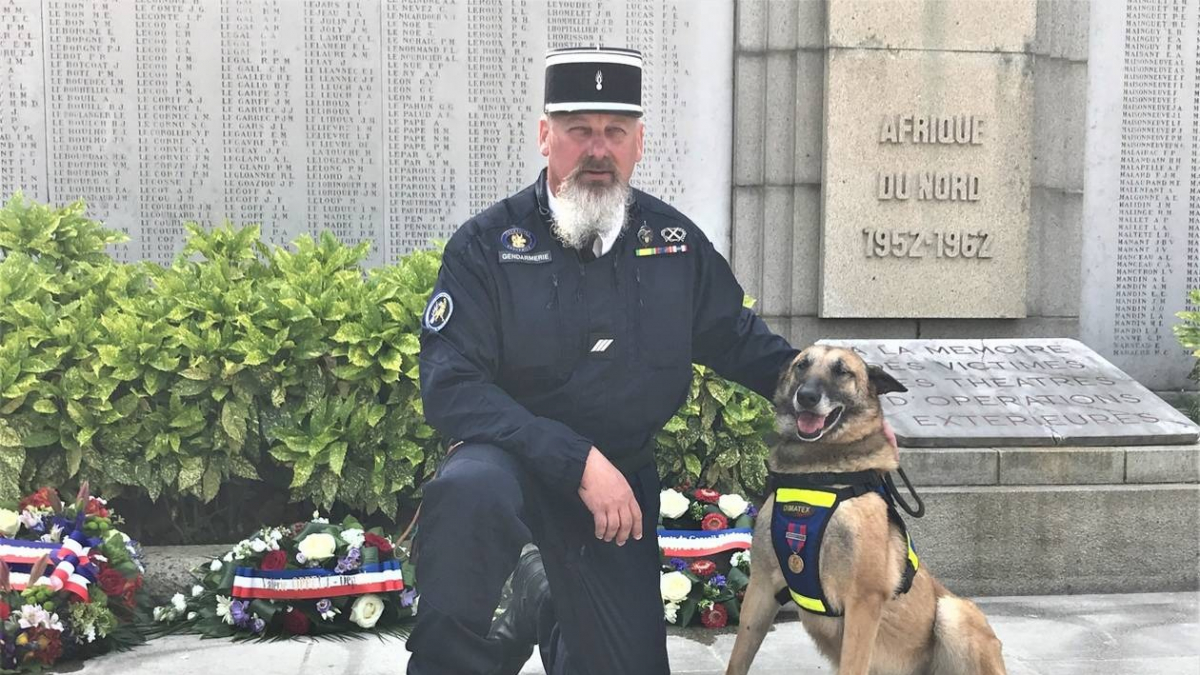 Illustration : "Gipsy, chienne de la gendarmerie, décorée à l'occasion du 8 mai"