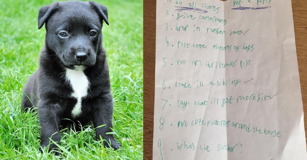 Ces Enfants Sont Vraiment Prets A Tout Pour Convaincre Leur Maman D Adopter Un Chien