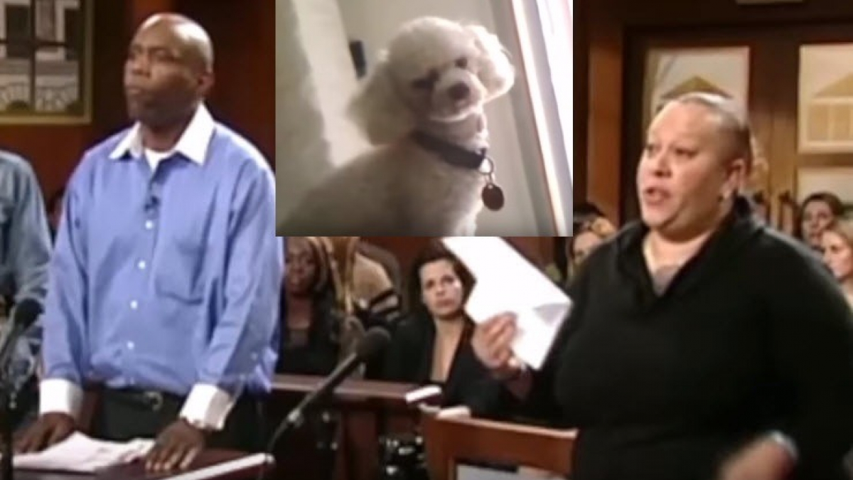 Illustration : "Pour connaître la vérité, un juge laisse un chien volé choisir qui est son véritable maître (Vidéo)"