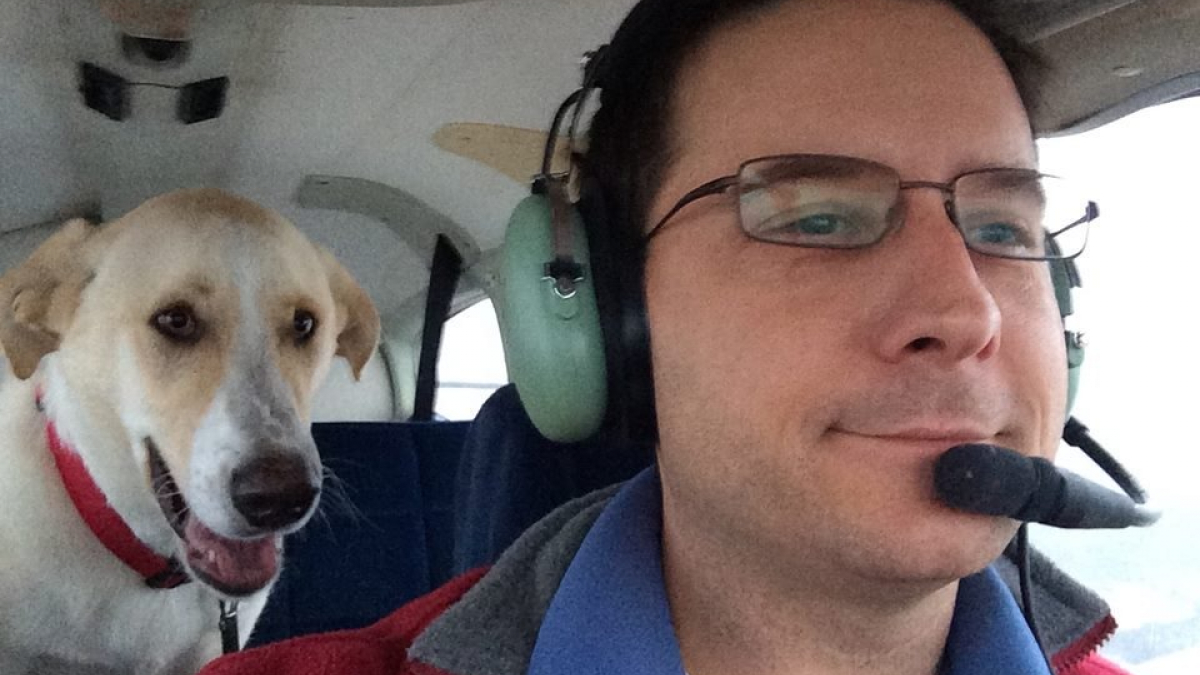 Illustration : "Ce pilote compte à son actif plus de 1000 chiens sauvés en les transportant par avion"