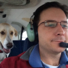 Illustration : Ce pilote compte à son actif plus de 1000 chiens sauvés en les transportant par avion