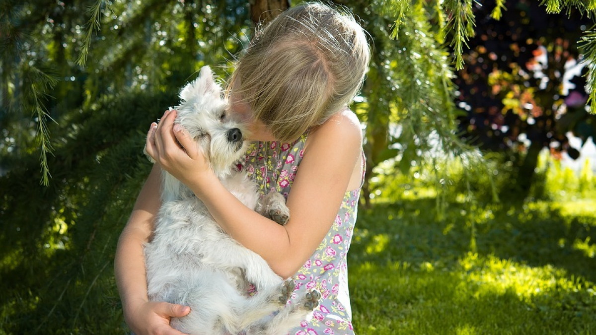 Illustration : "Une adolescente perdue, restituée à sa famille grâce à la puce de son chien"