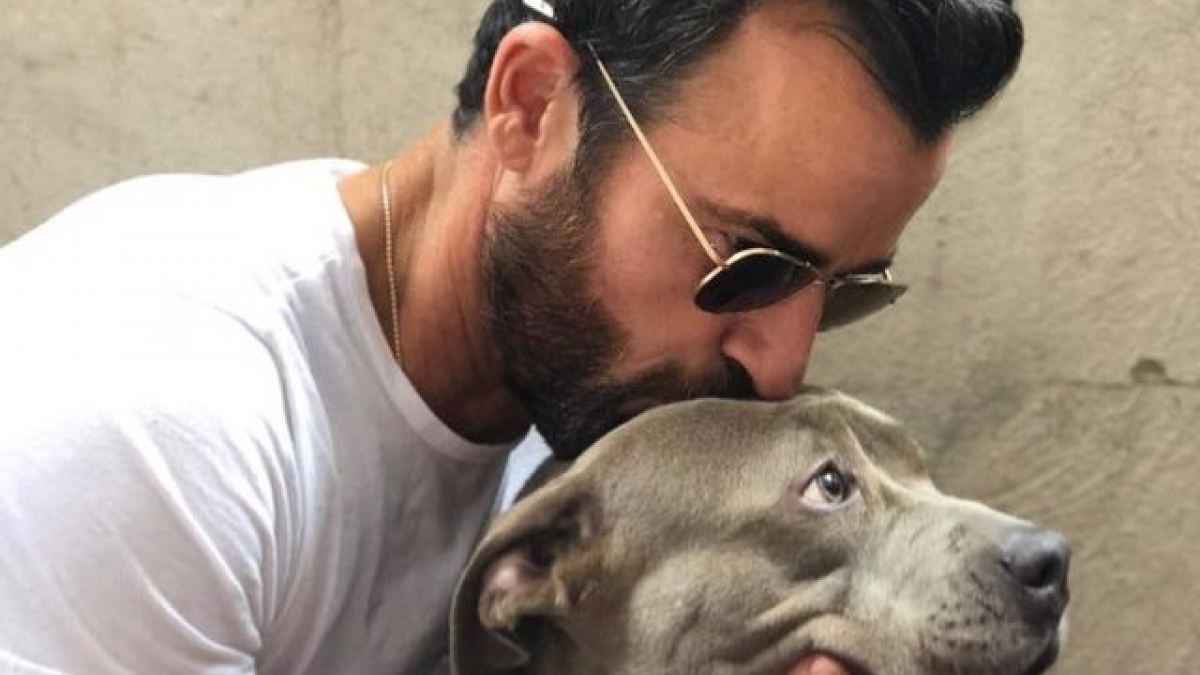 Illustration : "L'acteur Justin Theroux adopte une chienne dont personne ne voulait"