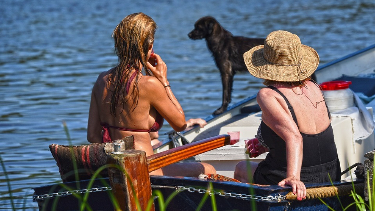 Illustration : "6 astuces sécurité pour faire du bateau avec votre chien en toute sérénité"