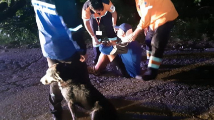 Illustration : Un cycliste se blesse en montagne, mais survit sauvé par un chien errant