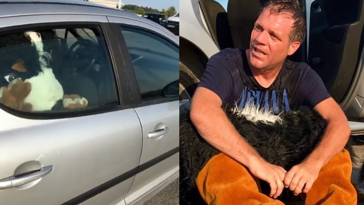 Illustration : "Déguisé en chien, Rémi Gaillard s'enferme dans une voiture pour sensibiliser les propriétaires canins"