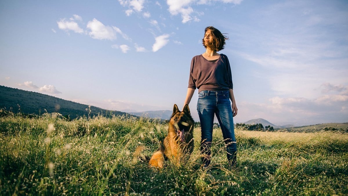 Illustration : "6 idées pour une journée relax avec son chien"