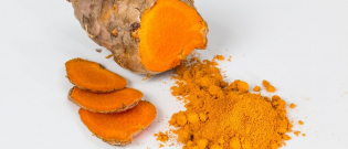 Illustration : "7 bonnes raisons de donner du curcuma à votre chien senior"