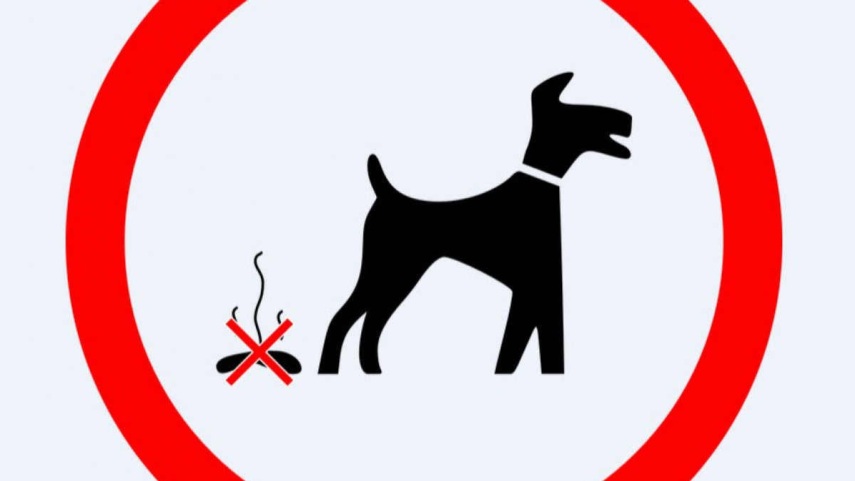 Illustration : "Dans cette commune italienne, on utilise l'ADN pour lutter contre les déjections canines"