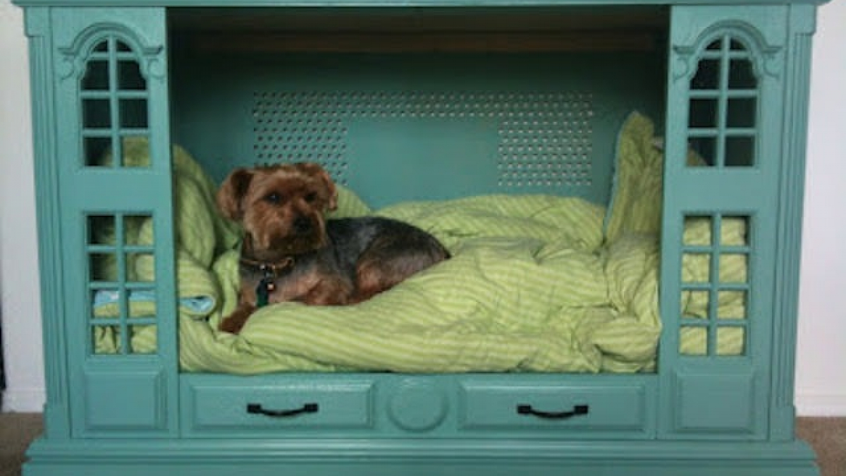 Illustration : "10 idées de lits pour chiens et chiots"